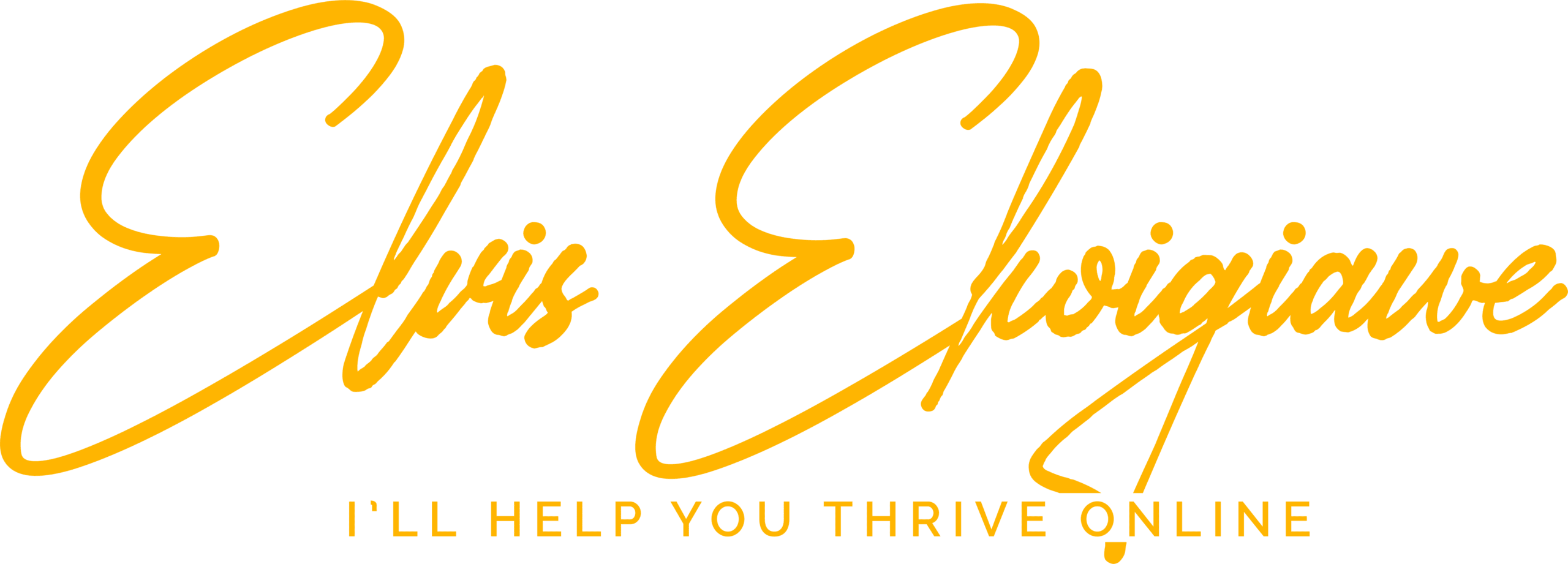 Elvis Ekoigiawe Logo Signature 10 scaled png